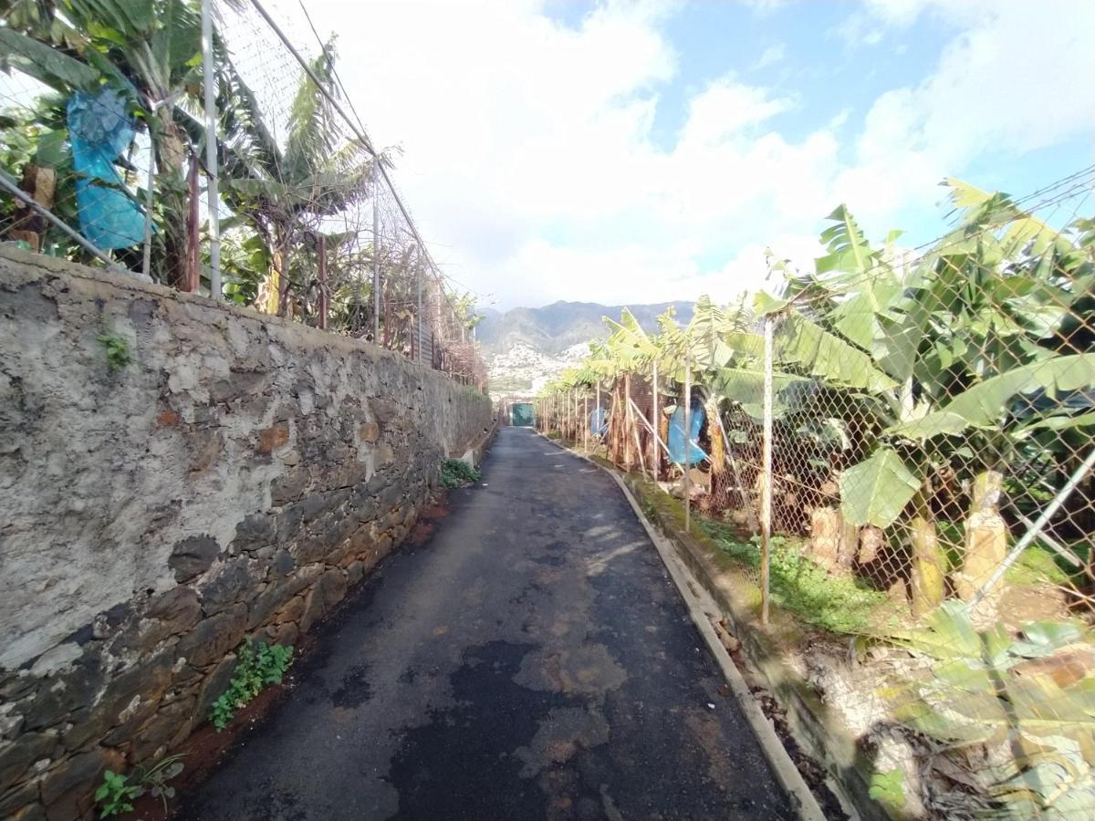 Casa Alencastre Villa Funchal  Buitenkant foto